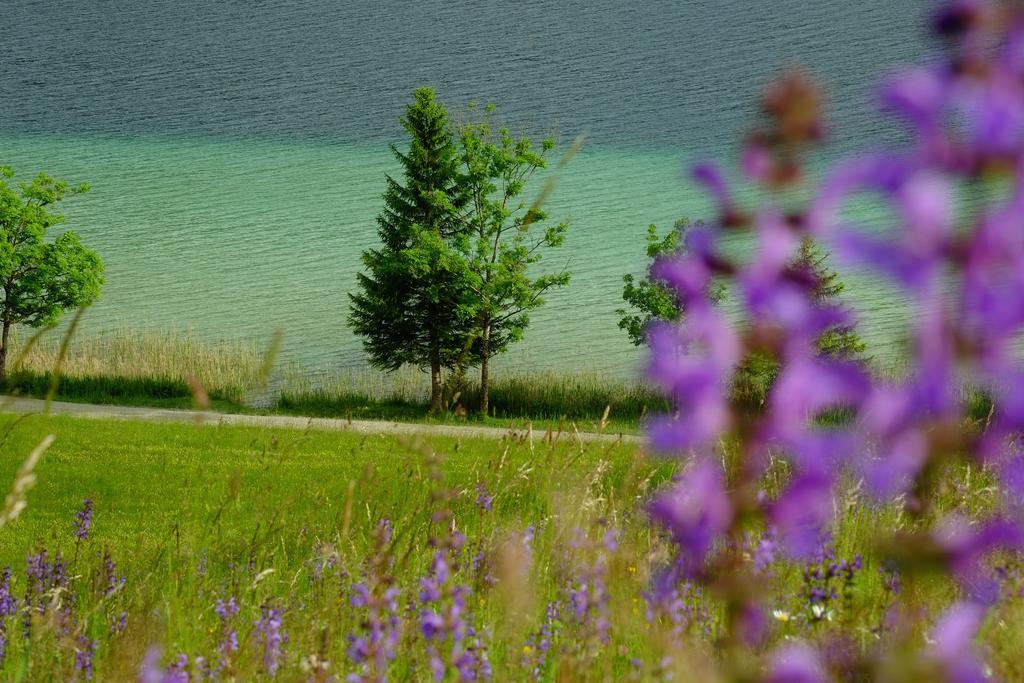 Draxl-Hof Ferienwohnungen Weissensee Zewnętrze zdjęcie